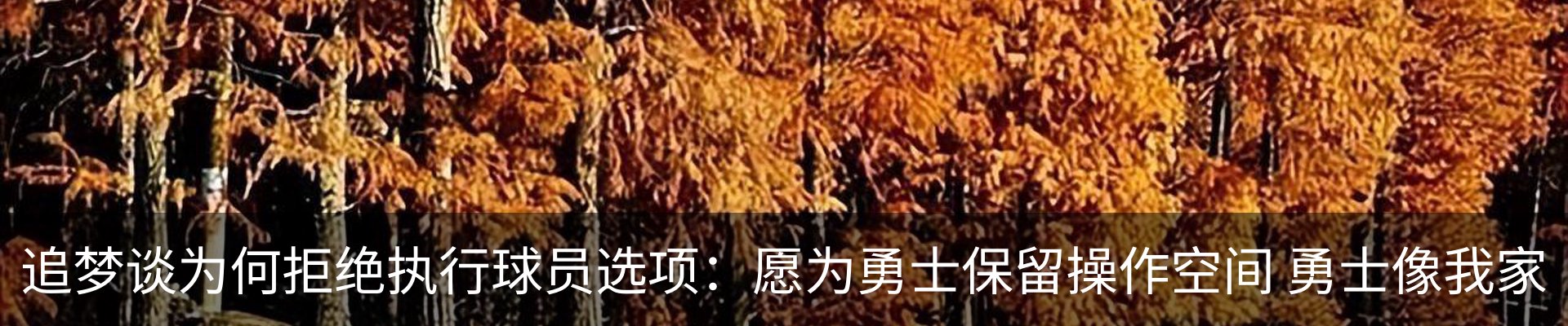 资讯动态