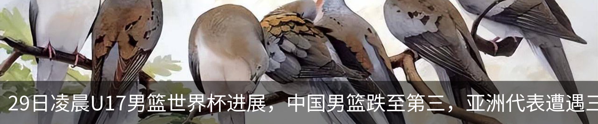资讯动态